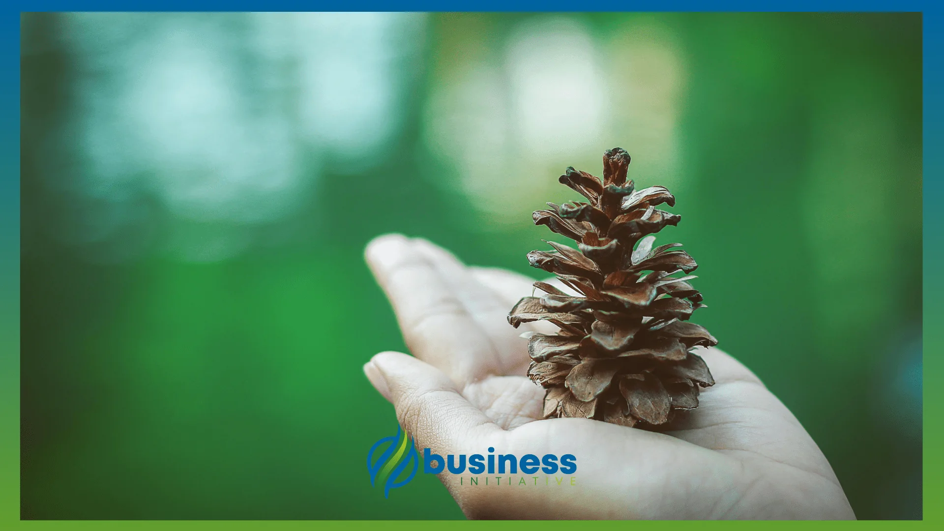 Environmental Due Diligence Environmental Due Diligence